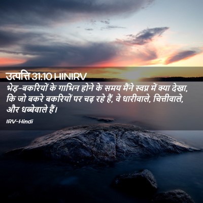 Picture 02 - उत्पत्ति 31:10 HINIRV - भेड़-बकरियों के - Bible Verse Picture