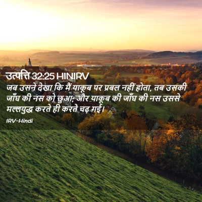 Picture 02 - उत्पत्ति 32:25 HINIRV - जब उसने देखा कि मैं - Bible Verse Picture