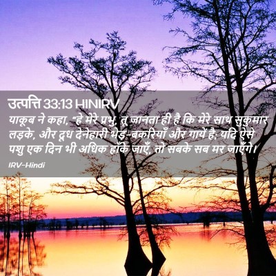 Picture 02 - उत्पत्ति 33:13 HINIRV - याकूब ने कहा, “हे - Bible Verse Picture