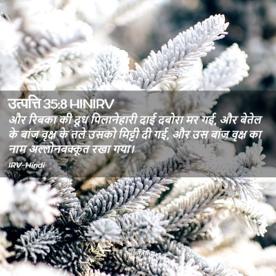 Picture 02 - उत्पत्ति 35:8 HINIRV - और रिबका की दूध - Bible Verse Picture