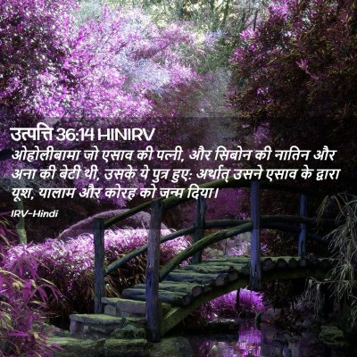 Picture 02 - उत्पत्ति 36:14 HINIRV - ओहोलीबामा जो एसाव - Bible Verse Picture