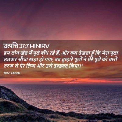 Picture 02 - उत्पत्ति 37:7 HINIRV - हम लोग खेत में पूले - Bible Verse Picture