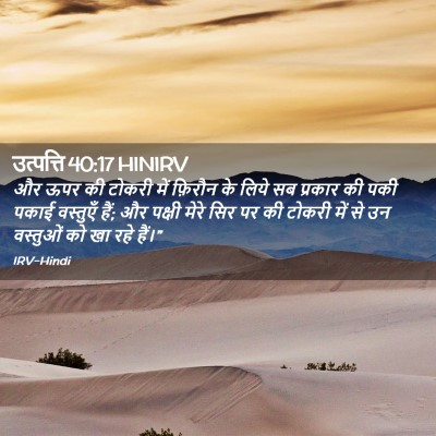 Picture 02 - उत्पत्ति 40:17 HINIRV - और ऊपर की टोकरी में - Bible Verse Picture