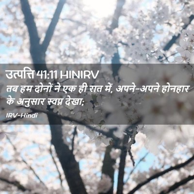 Picture 02 - उत्पत्ति 41:11 HINIRV - तब हम दोनों ने एक - Bible Verse Picture