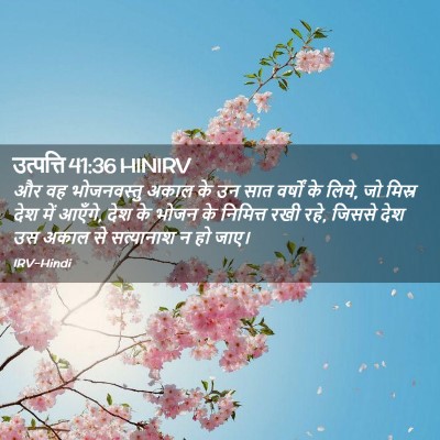 Picture 02 - उत्पत्ति 41:36 HINIRV - और वह भोजनवस्तु - Bible Verse Picture