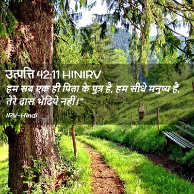 Picture 02 - उत्पत्ति 42:11 HINIRV - हम सब एक ही पिता के - Bible Verse Picture