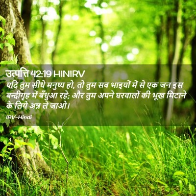 Picture 02 - उत्पत्ति 42:19 HINIRV - यदि तुम सीधे - Bible Verse Picture