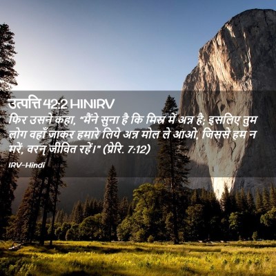 Picture 02 - उत्पत्ति 42:2 HINIRV - फिर उसने कहा, - Bible Verse Picture