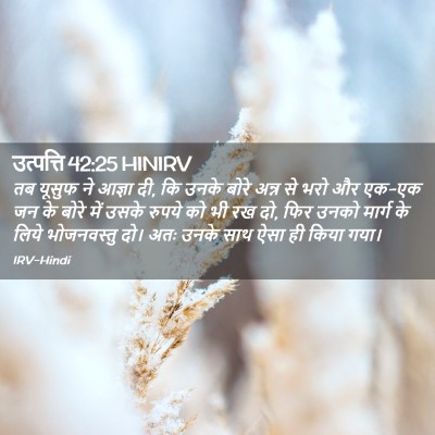 Picture 02 - उत्पत्ति 42:25 HINIRV - तब यूसुफ ने आज्ञा - Bible Verse Picture