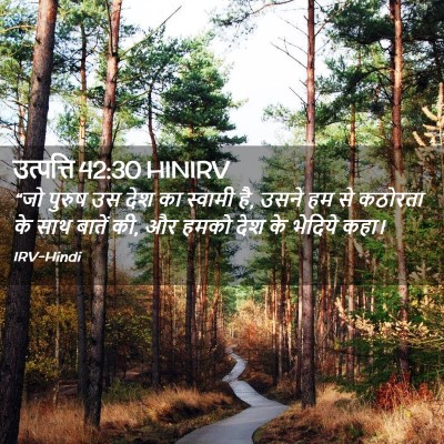 Picture 02 - उत्पत्ति 42:30 HINIRV - “जो पुरुष उस देश का - Bible Verse Picture