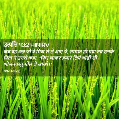 Picture 02 - उत्पत्ति 43:2 HINIRV - जब वह अन्न जो वे - Bible Verse Picture