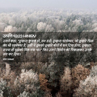 Picture 02 - उत्पत्ति 43:23 HINIRV - उसने कहा, - Bible Verse Picture