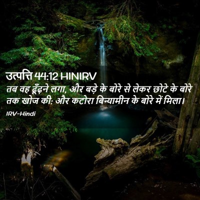 Picture 02 - उत्पत्ति 44:12 HINIRV - तब वह ढूँढ़ने लगा, - Bible Verse Picture