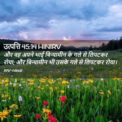 Picture 02 - उत्पत्ति 45:14 HINIRV - और वह अपने भाई - Bible Verse Picture