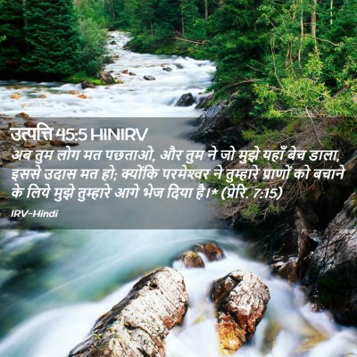 Picture 02 - उत्पत्ति 45:5 HINIRV - अब तुम लोग मत - Bible Verse Picture