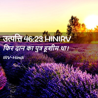 Picture 02 - उत्पत्ति 46:23 HINIRV - फिर दान का पुत्र - Bible Verse Picture