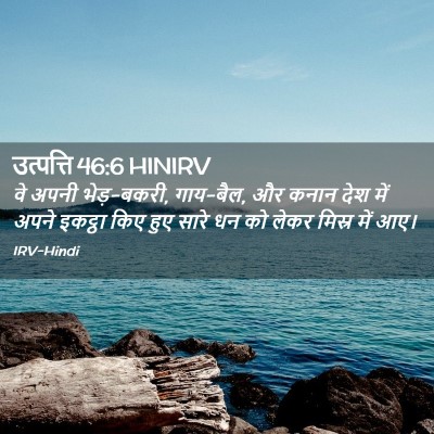 Picture 02 - उत्पत्ति 46:6 HINIRV - वे अपनी भेड़-बकरी, - Bible Verse Picture