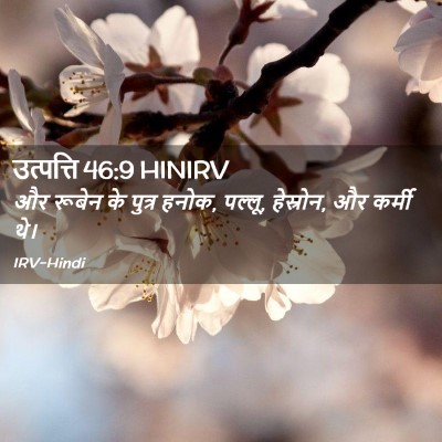 Picture 02 - उत्पत्ति 46:9 HINIRV - और रूबेन के पुत्र - Bible Verse Picture
