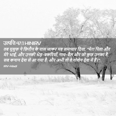 Picture 02 - उत्पत्ति 47:1 HINIRV - तब यूसुफ ने फ़िरौन - Bible Verse Picture