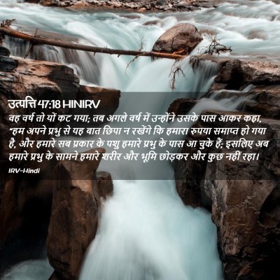 Picture 02 - उत्पत्ति 47:18 HINIRV - वह वर्ष तो यों कट - Bible Verse Picture