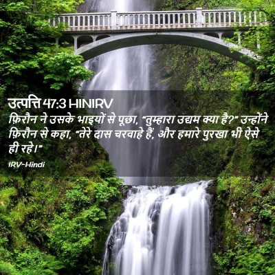 Picture 02 - उत्पत्ति 47:3 HINIRV - फ़िरौन ने उसके - Bible Verse Picture