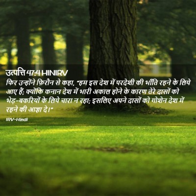 Picture 02 - उत्पत्ति 47:4 HINIRV - फिर उन्होंने - Bible Verse Picture