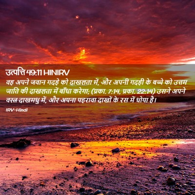 Picture 02 - उत्पत्ति 49:11 HINIRV - वह अपने जवान गदहे - Bible Verse Picture