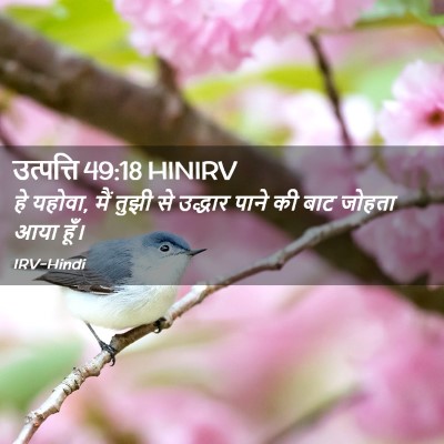 Picture 02 - उत्पत्ति 49:18 HINIRV - हे यहोवा, मैं तुझी - Bible Verse Picture
