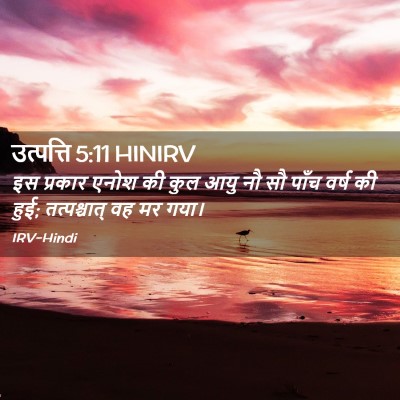 Picture 02 - उत्पत्ति 5:11 HINIRV - इस प्रकार एनोश की - Bible Verse Picture