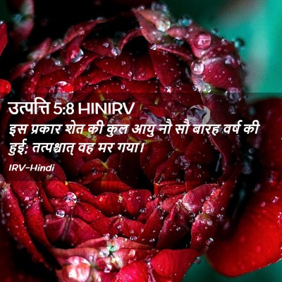 Picture 02 - उत्पत्ति 5:8 HINIRV - इस प्रकार शेत की - Bible Verse Picture