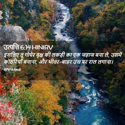 Picture 02 - उत्पत्ति 6:14 HINIRV - इसलिए तू गोपेर - Bible Verse Picture
