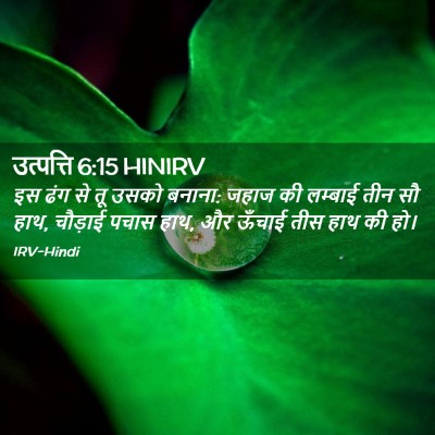 Picture 02 - उत्पत्ति 6:15 HINIRV - इस ढंग से तू उसको - Bible Verse Picture