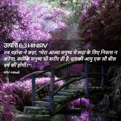 Picture 02 - उत्पत्ति 6:3 HINIRV - तब यहोवा ने कहा, - Bible Verse Picture