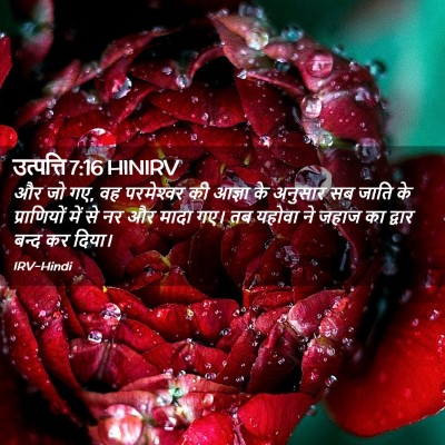 Picture 02 - उत्पत्ति 7:16 HINIRV - और जो गए, वह - Bible Verse Picture