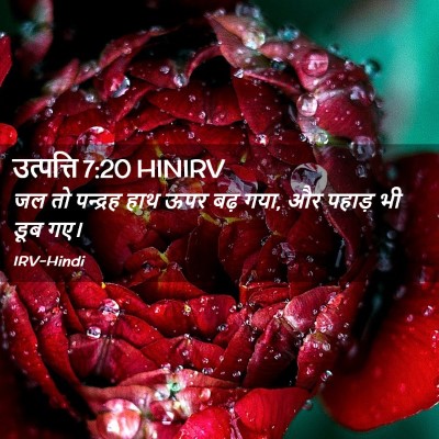 Picture 02 - उत्पत्ति 7:20 HINIRV - जल तो पन्द्रह हाथ - Bible Verse Picture