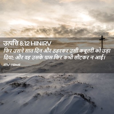 Picture 02 - उत्पत्ति 8:12 HINIRV - फिर उसने सात दिन और - Bible Verse Picture