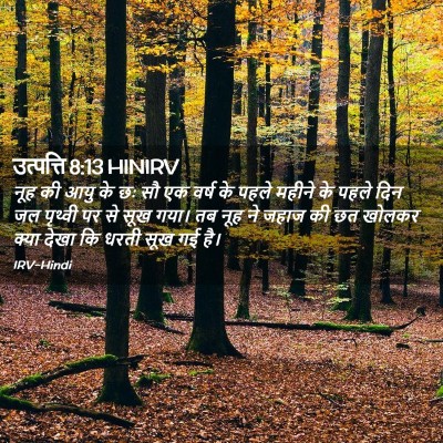 Picture 02 - उत्पत्ति 8:13 HINIRV - नूह की आयु के छः सौ - Bible Verse Picture