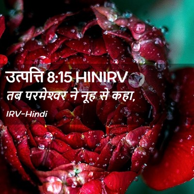 Picture 02 - उत्पत्ति 8:15 HINIRV - तब परमेश्‍वर ने - Bible Verse Picture