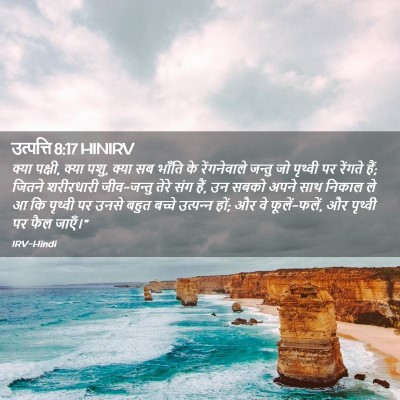 Picture 02 - उत्पत्ति 8:17 HINIRV - क्या पक्षी, क्या - Bible Verse Picture