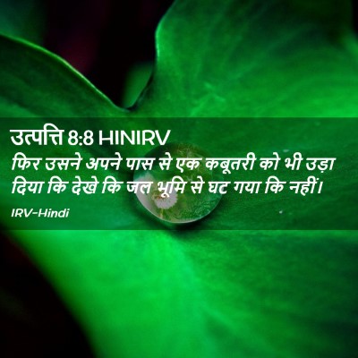 Picture 02 - उत्पत्ति 8:8 HINIRV - फिर उसने अपने पास - Bible Verse Picture