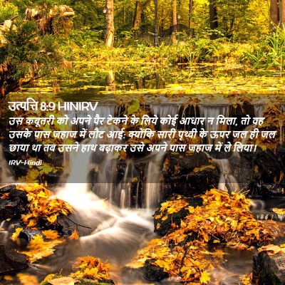 Picture 02 - उत्पत्ति 8:9 HINIRV - उस कबूतरी को अपने - Bible Verse Picture