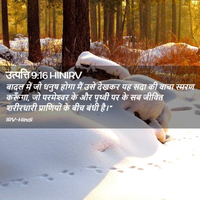 Picture 02 - उत्पत्ति 9:16 HINIRV - बादल में जो धनुष - Bible Verse Picture
