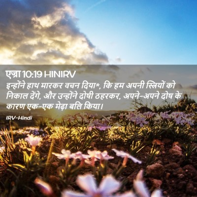Picture 02 - एज्रा 10:19 HINIRV - इन्होंने हाथ - Bible Verse Picture
