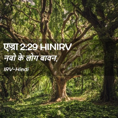 Picture 02 - एज्रा 2:29 HINIRV - नबो के लोग - Bible Verse Picture