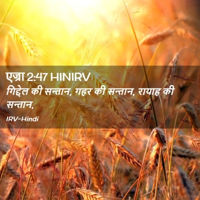 Picture 02 - एज्रा 2:47 HINIRV - गिद्देल की सन्तान, - Bible Verse Picture