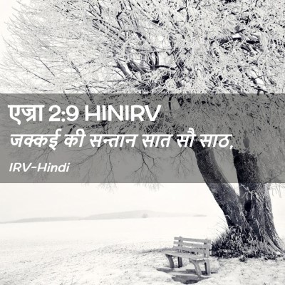 Picture 02 - एज्रा 2:9 HINIRV - जक्कई की सन्तान - Bible Verse Picture