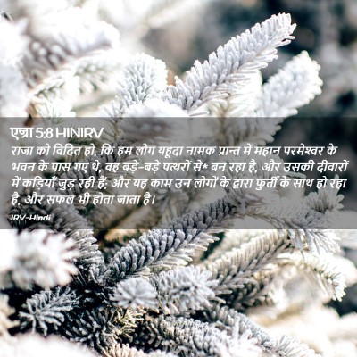 Picture 02 - एज्रा 5:8 HINIRV - राजा को विदित हो, - Bible Verse Picture