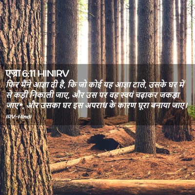 Picture 02 - एज्रा 6:11 HINIRV - फिर मैंने आज्ञा दी - Bible Verse Picture