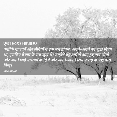 Picture 02 - एज्रा 6:20 HINIRV - क्योंकि याजकों और - Bible Verse Picture