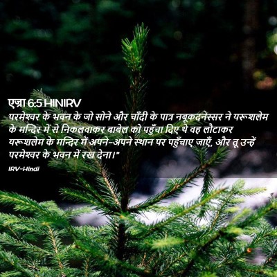 Picture 02 - एज्रा 6:5 HINIRV - परमेश्‍वर के भवन - Bible Verse Picture